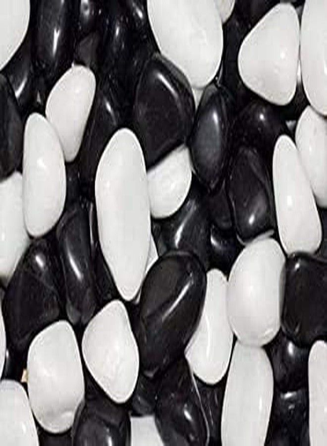 VANNEF® Premium Black&White Polish Stone Ornamental River Rocks Tumbled Stones for Landscaping Home Decor Crafts Garder Aquirum/Fish Tank (900 gm Black&White)